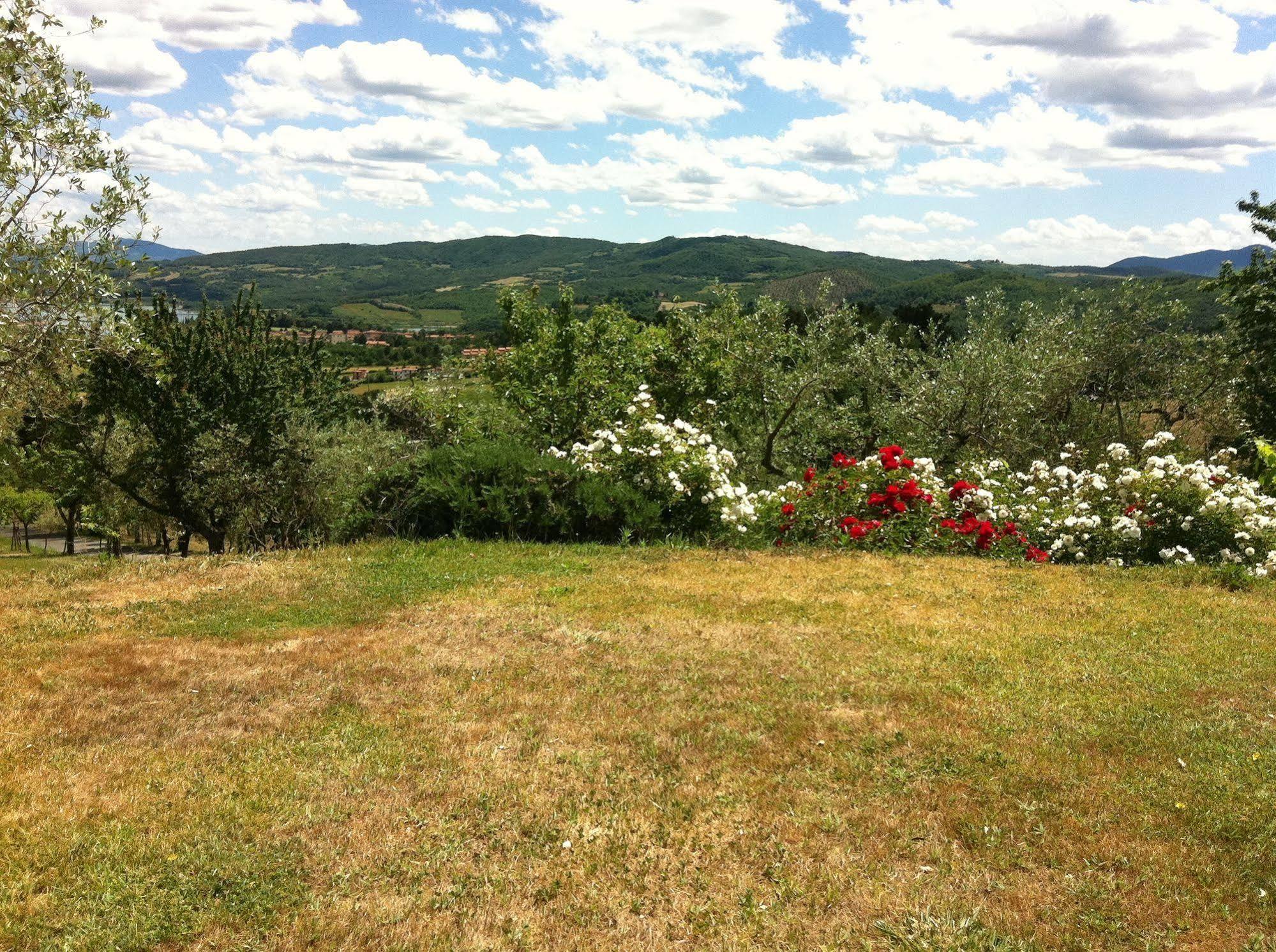 Villa Poggio Agli Ulivi à Barberino di Mugello Extérieur photo